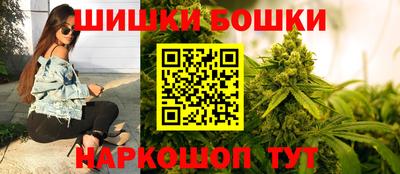 дмт Славгород