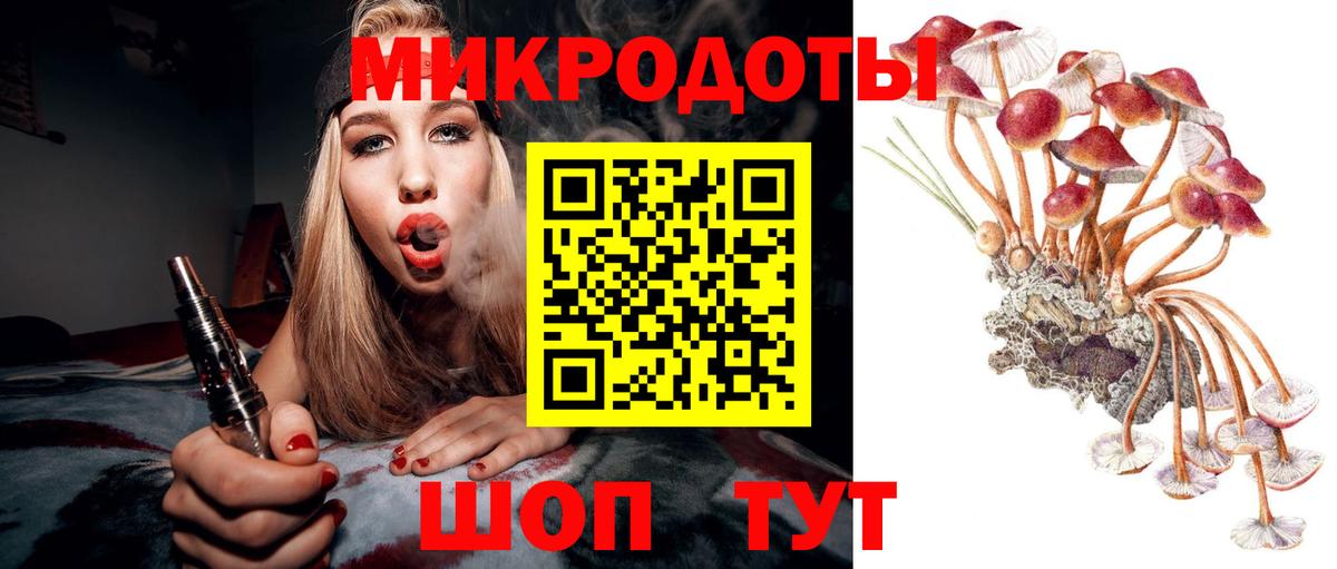 Псилоцибиновые грибы мухоморы Заринск